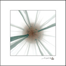 Créations originales